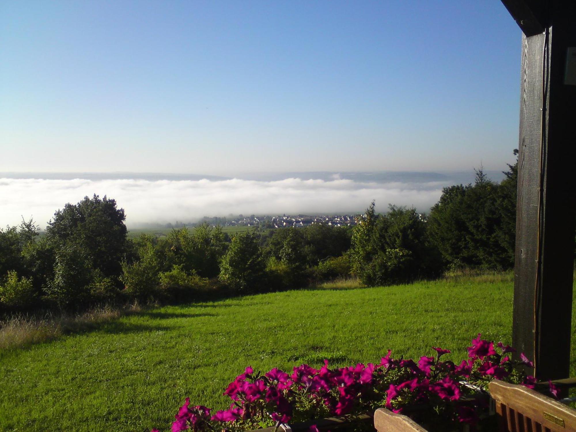 Zum Rebhang Bed & Breakfast Oestrich-Winkel Exterior foto